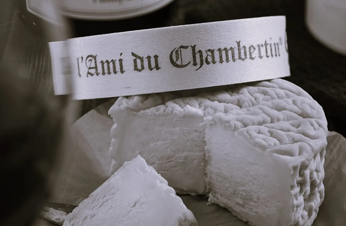 histoire Gaugry - Ami du Chambertin